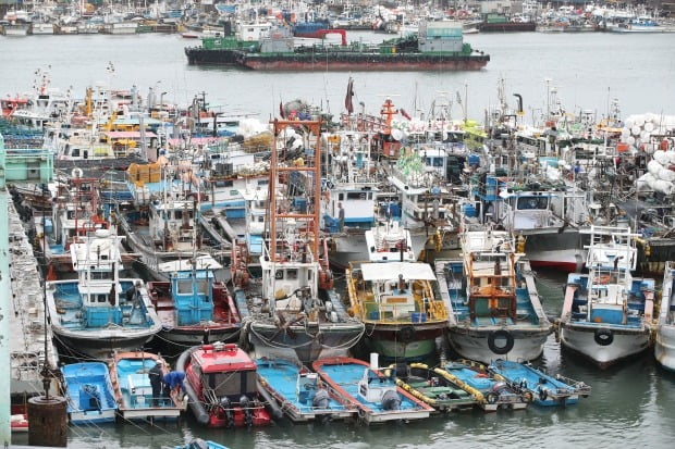 제11호 태풍 '힌남노'가 북상 중인 5일 오전 인천 중구 연안부두로 피항한 어선들이 모여 있다. /뉴스1