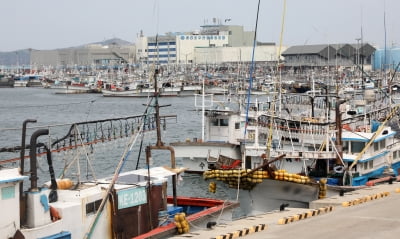 태풍 '난마돌' 19일 한반도 최근접…중대본 1단계 가동