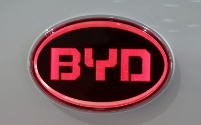 글로벌 1위 자리 지켜낸 BYD…주가 바닥 찍었나