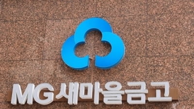 새마을금고 국감서 '신생 PEF 출자' 의혹 제기