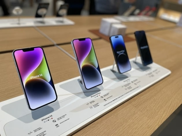 애플은 이날 아이폰14 시리즈를 정식 출시했다. (사진=최수진 기자)