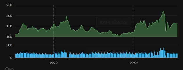 최근 1년 KAPI지수(자료=테란)