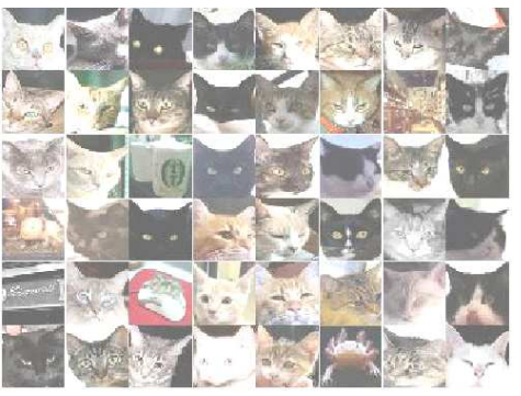 구글이 2012년 공개한 AI프로젝트에 쓰인 고양이 이미지 데이터 중 일부.  사진 구글