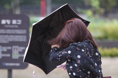 [날씨] 전국 비·강풍에 체감온도 '뚝'…"내일까지 쌀쌀"
