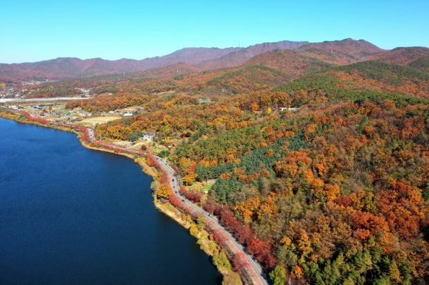  광교저수지 수변 산책로와 광교산 자락. 수원시 제공