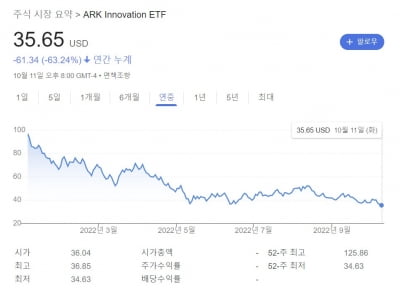 캐시 우드의 간판 펀드 'ARKK' 연저점 뚫어…올해만 63% 하락 