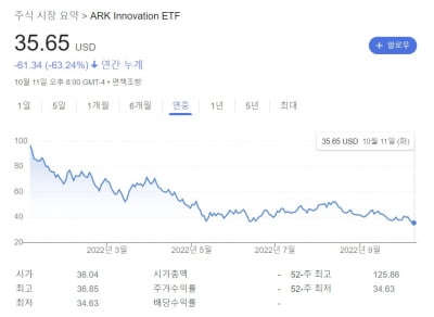 캐시 우드의 간판 펀드 'ARKK' 연저점 뚫어…올해만 63% 하락