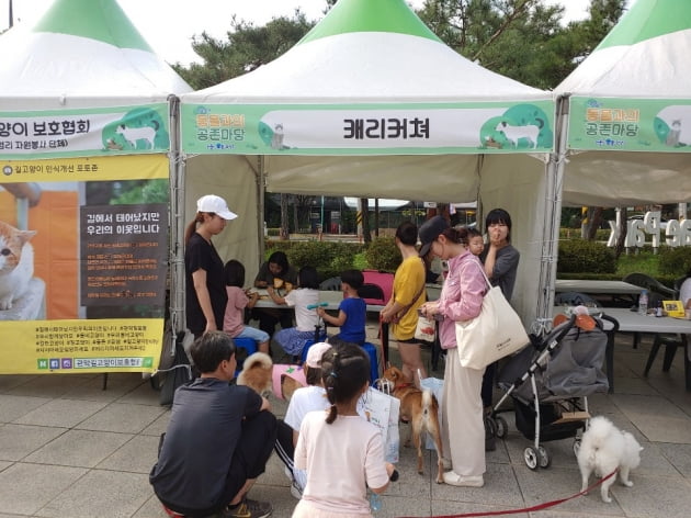 관악구, 오는 29일 2022 관악 동물과의 공존 한마당 개최 