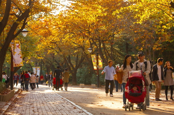 서울어린이대공원, '가을오락실' 축제 연다 