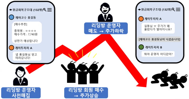 리딩방 관련 불공정거래 혐의 사례. 자료=금융감독원