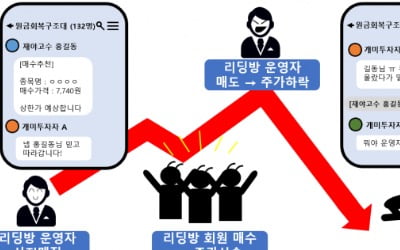 금감원, 리딩방 불공정거래에 칼 뺐다…부당이득 200억 '불법 리딩방' 적발