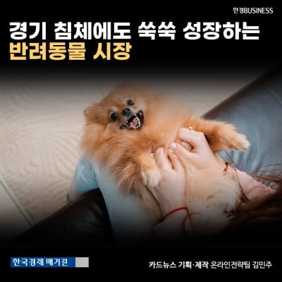 [영상뉴스] 경기 침체에도 쑥쑥 성장하는 반려동물 시장