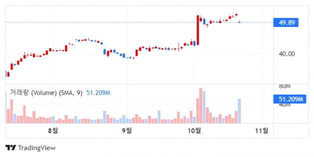 CNBC "인터넷 기업 투자자, 온라인 광고 재앙 주의보"