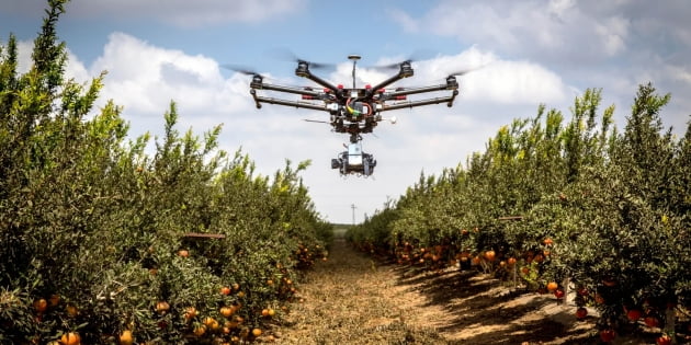 IBM이 2021년부터 Texas A&M AgriLife와 협업한 지속가능한 농업 프로젝트.사진 제공=IBM