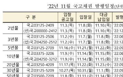 기재부, 11월 국고채 7조원 발행…이달보다 2조원 축소