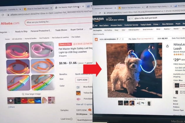 기존 사이트에서 1달러에 판매하는 야광 목줄(왼) 재키가 리브랜딩해 판매중인 동일 제품. /사진=틱톡