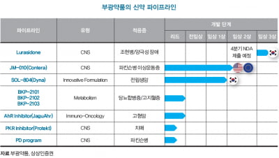 [종목분석] 부광약품, 최대주주의 행보가 회사 가치 판단의 주요한 방향키