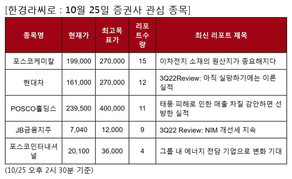 포스코케미칼,현대차,POSCO홀딩스,JB금융지주,포스코인터내셔널,보령,PI첨단소재,롯데관광개발,현대에너지솔루션