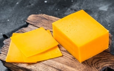 밀크플레이션 오나…서울우유, 치즈 가격 20% 인상한다