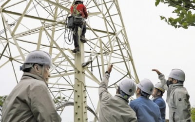 한전KDN, 친환경 '에너지 ICT 플랫폼 전문기업' 변신