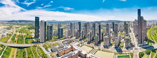 세종이 경제자유구역·교육특구 지정으로 미래를 선도하는 도시로 거듭나기로 했다. 사진은 세종시 나성동 전경 세종시 제공