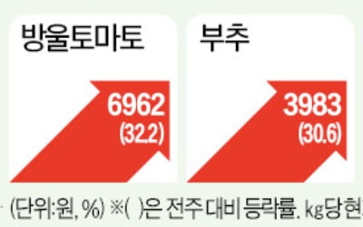 '천정부지' 농산물값 꺾였다…날씨 선선해지자 출하량 늘어