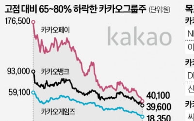 "성장 없는 성장주"…카카오 '검은 금요일'