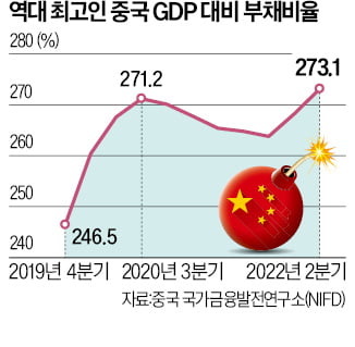 GDP대비 부채비율 역대 최고…대륙에 출몰한 '회색 코뿔소'