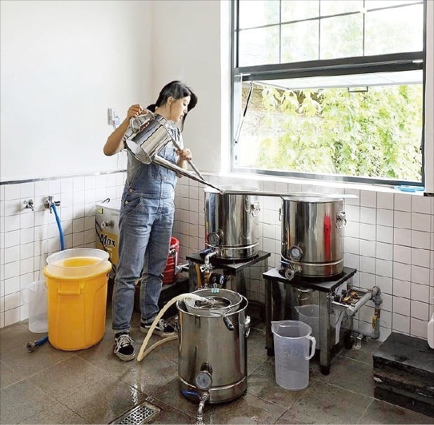 (3) 김예지 호피홀리데이 대표가 의성에서 생산된 홉이든의 홉으로 수제맥주를 만들고 있다. 