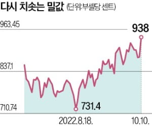 러 폭격에 곡물값 화들짝…밀 가격, 석달만에 최고치