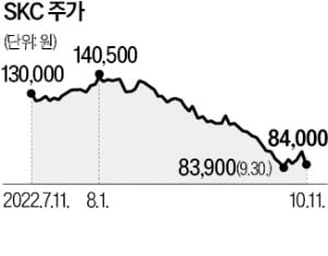 롯데, 동박 사업 진출에…떨고있는 1위 SKC