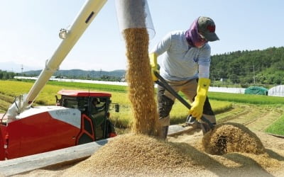 남아도는 쌀 사서 93% 폐기하는데…'혈세 퍼주기' 경쟁하는 정치권 [구민기의 농산물 경제학]