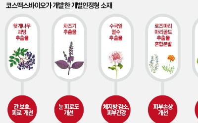 기술이 경쟁력이다…차즈기·수국잎 추출물 등 개별인정형 원료사업 '폭풍 성장'