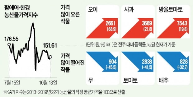 배추·무 가격 안정세…오이만 '나홀로 급등'