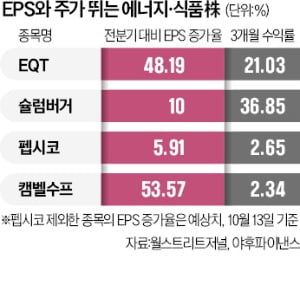 "美증시 약세장 중반부 진입…이익 뛰는 에너지·식품株 주목"