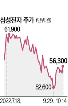 "상장사들, 올해 역성장할 수도"