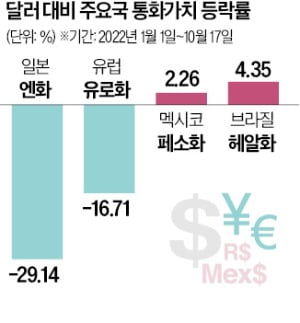 '킹달러 습격'에도 잘 버텼다…통화가치 선방한 신흥국들