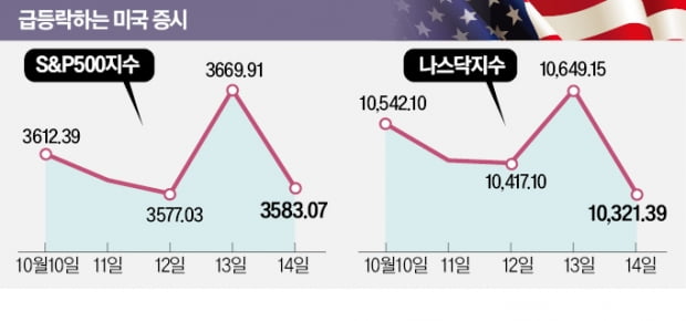 멀미 나는 美증시…"전형적 약세장 신호"