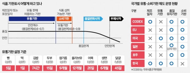 그래픽=전희성 / 사진=김범준 기자