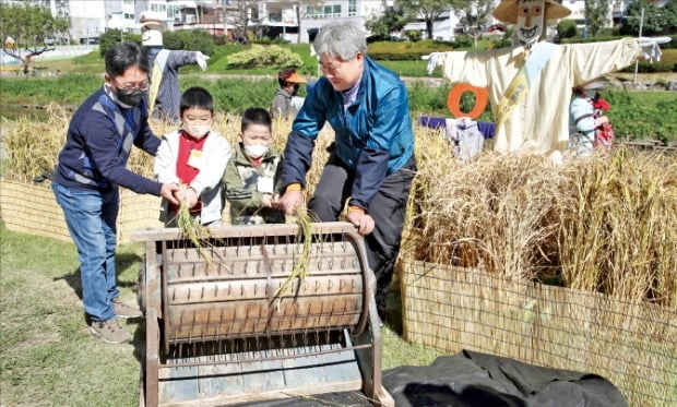 [포토] 탈곡 이렇게 하면 돼요? 