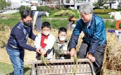 [포토] 탈곡 이렇게 하면 돼요?