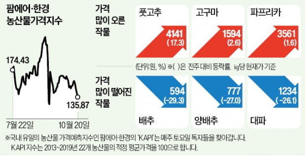 "올해 김장 배추 걱정 줄었네"…호남산 출하 앞두고 가격 뚝