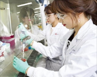 LG화학 생명과학사업본부 직원들이 신약 연구를 하고 있다.  LG화학  제공 