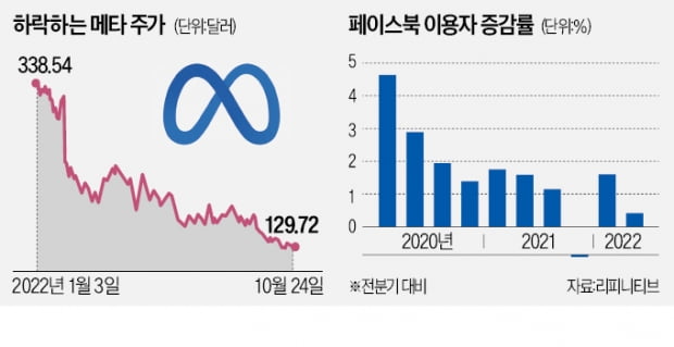 주가 급락에 뿔난 메타 주주들…"메타버스 투자·인력 확 줄여라"