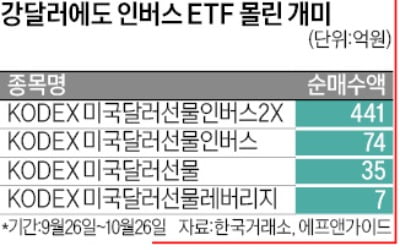 "킹달러 곧 끝날 것"…개미들, 하락 베팅