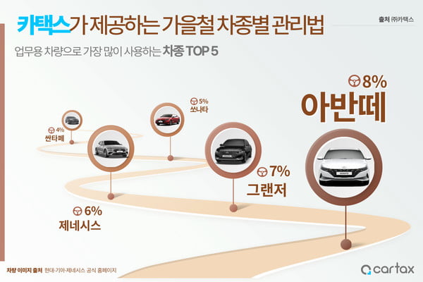 낙엽 안개 등으로 사고 많은 가을철, 차량 관리는 