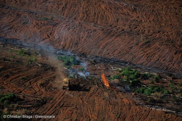 아마존 산림 파괴. 사진=그린피스