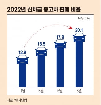 그래픽=배자영 기자