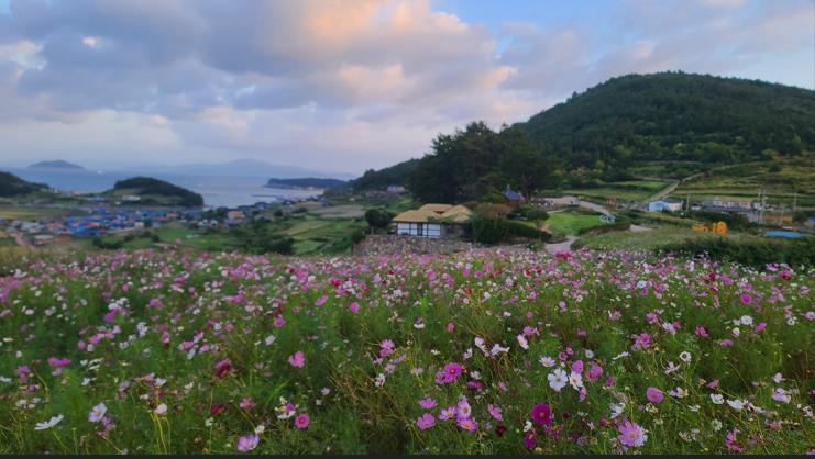 별멍투어·노을산책·항구포차…슬로시티 청산도, 가을여행 풍성