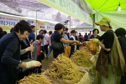 가을축제 속으로 '풍덩'…충북 보고 먹고 즐길거리 풍성